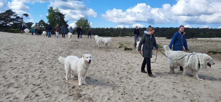 20240421_142335---XXXXXXX