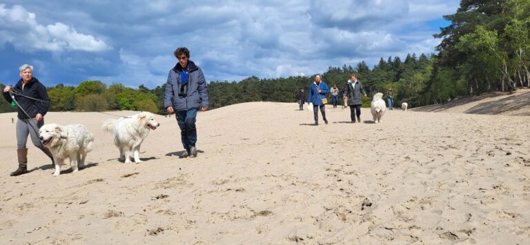 20240421_143256---XXXXXXXXX