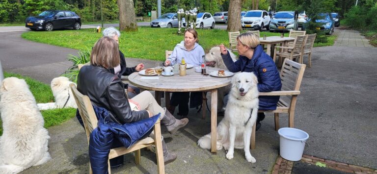 20240421_151855---XXXXX